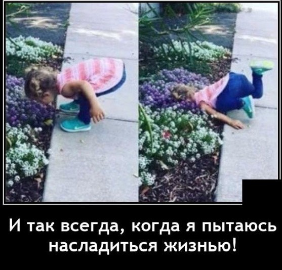 55 демотиваторов опять