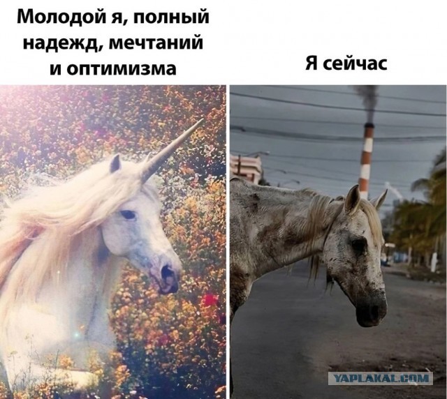 Посмеялся сам - поделись с другом!!!