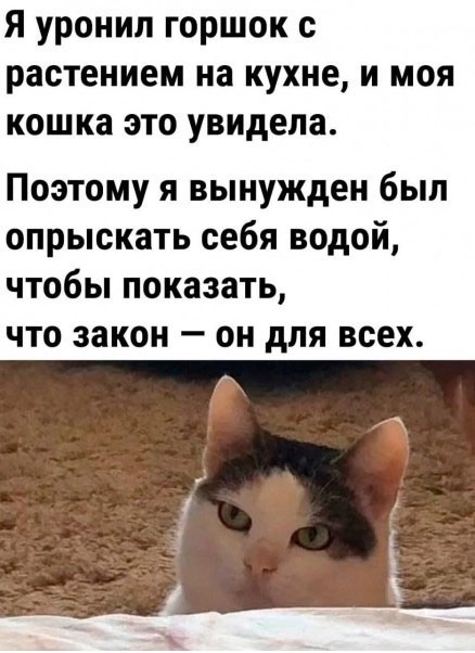 Картинки вечером в четверг