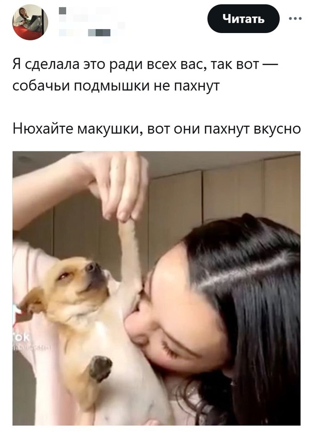 Весёлый полтишок 16.04 25.