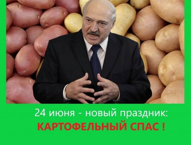 Сиськи