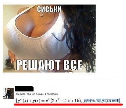 Щенок играет с сиськами