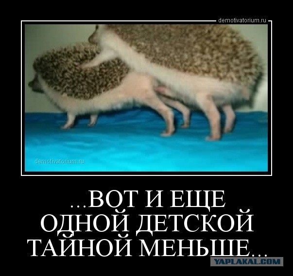 Познавательно. Как размножаются улитки?