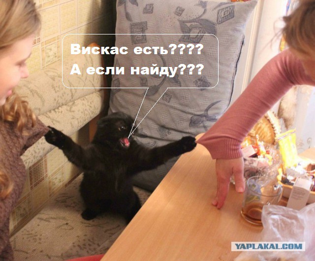 Стоять бояться!