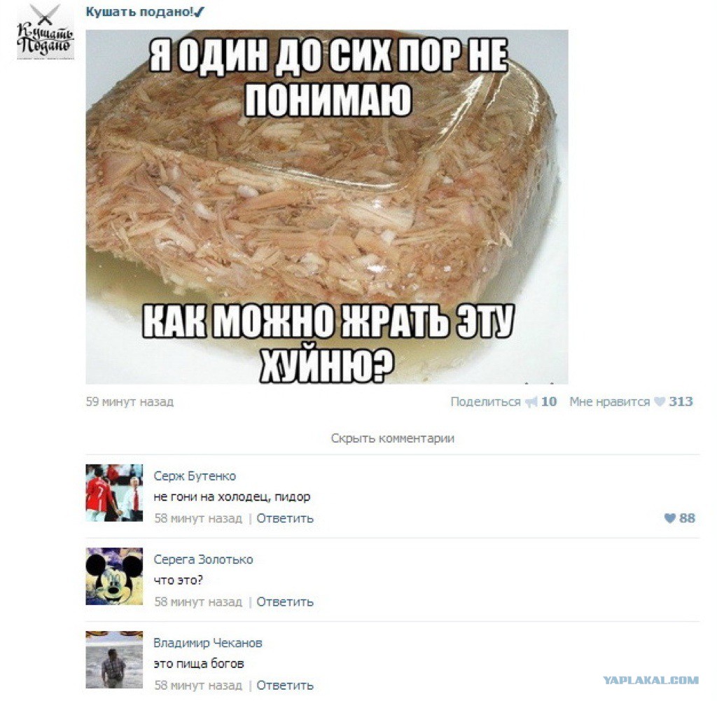 Смешная картинка холодец