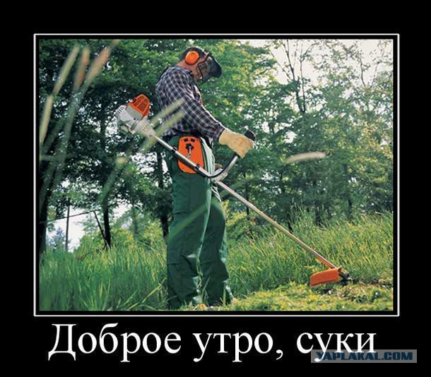 Позитивные картинки