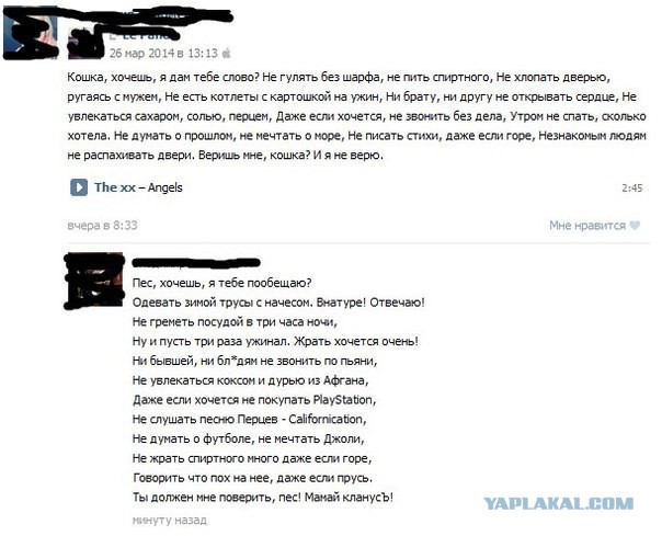 Смешные комментарии из социальных сетей