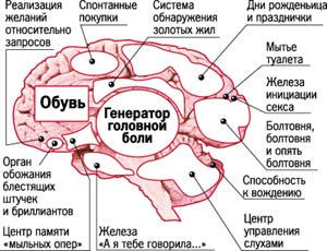 Учёные смогли понять