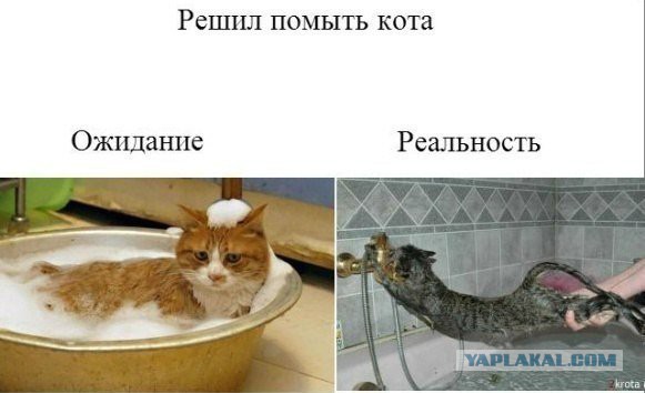 На среду 40 картинок, текстов, смс