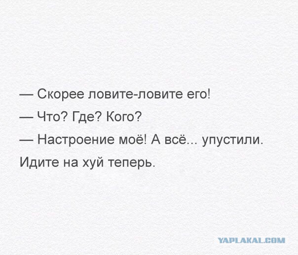 Разные картинки из сети