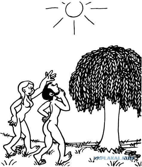 Райская жизнь