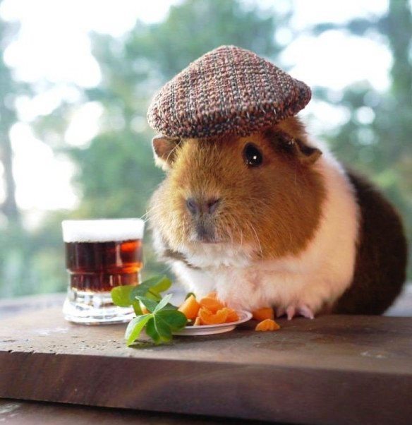 Подборка интересных и красивых фото