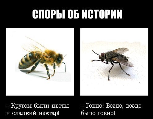 Улыбнись - демотиваторы заЯПись