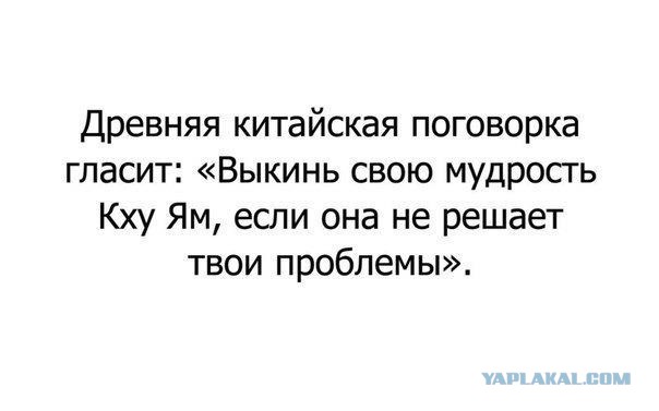 Подборка смешных картинок с надписями