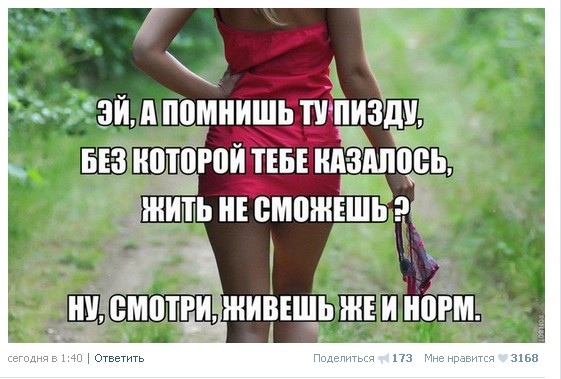 Ужасы и приколы из соцсетей 18+