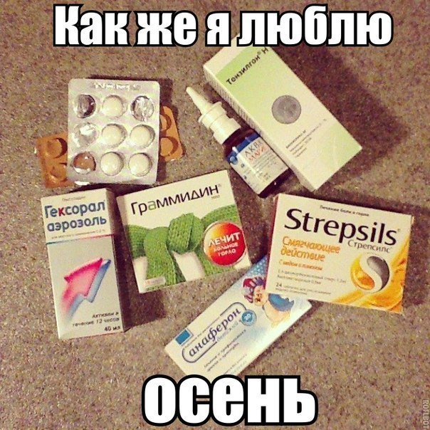 Порция картинок из сети