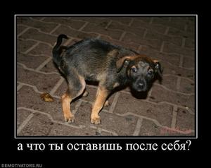 Если нынешний у бывшей мент