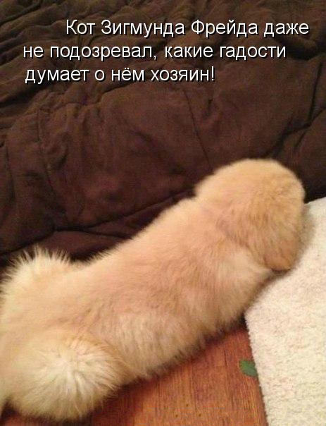 Нет времени объяснять, все плохо