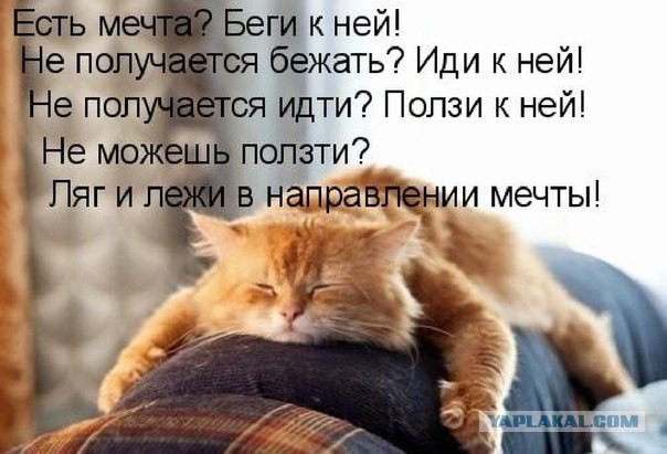 Эдди Орел: самый упорный неудачник большого спорта