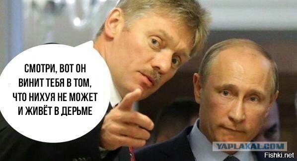 Работа не волк, но картинки сами себя не посмотрят!