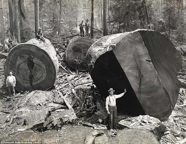 Преданья старины глубокой. Интересные фотографии аналоговой эры.