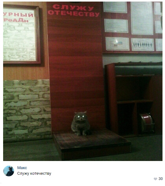 Нестандартный юмор