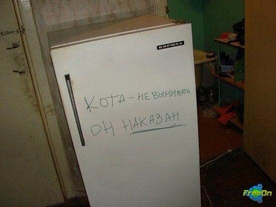 Прикольные надписи и объявления