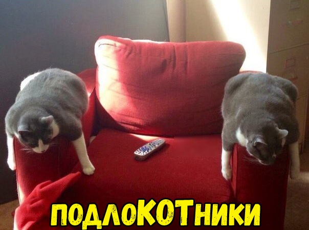 Не очень адекватный юмор