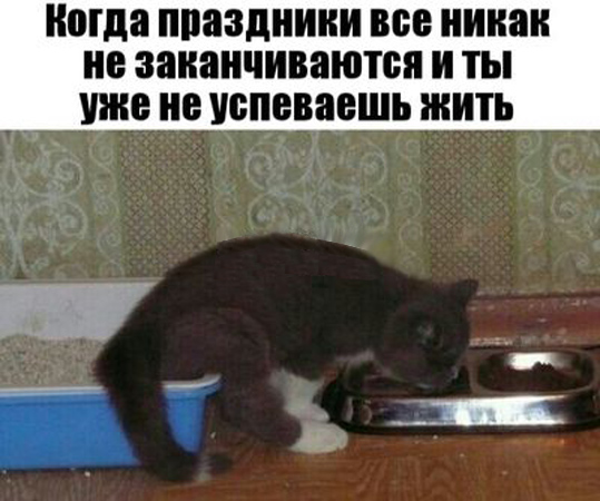Немного картинок на вечер