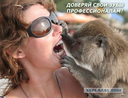 Что то в зубах застряло