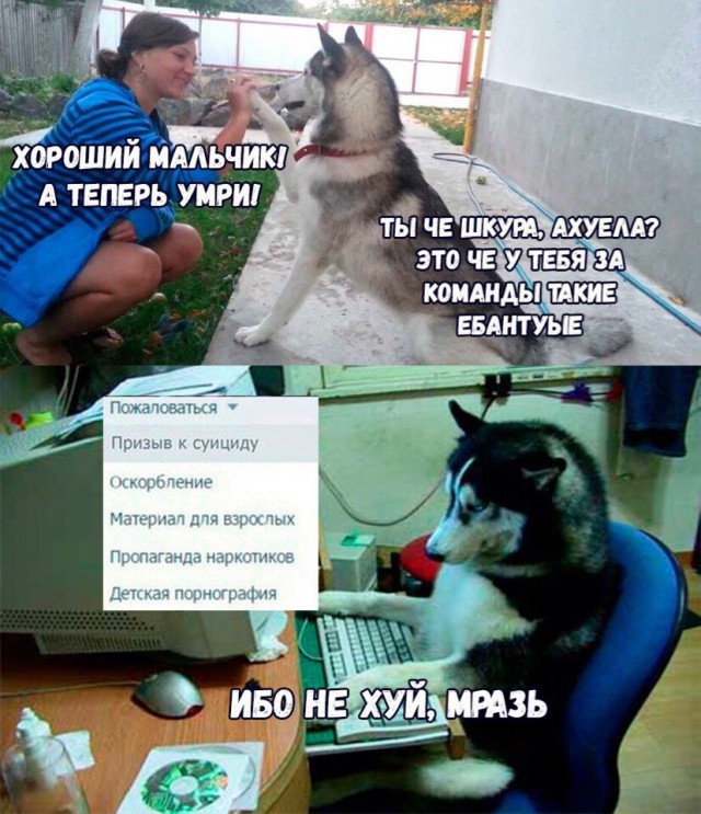 Картинок слегка)