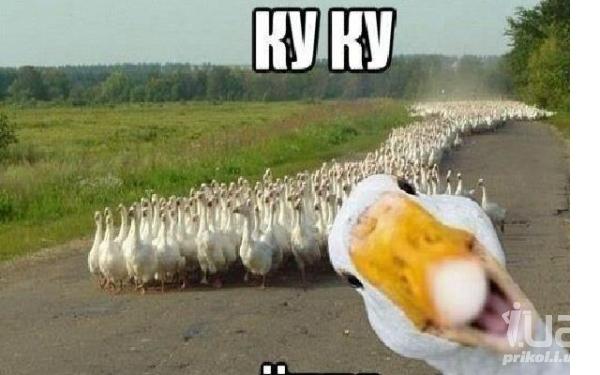 Реальные советы попаданцу. Первый и самый важный
