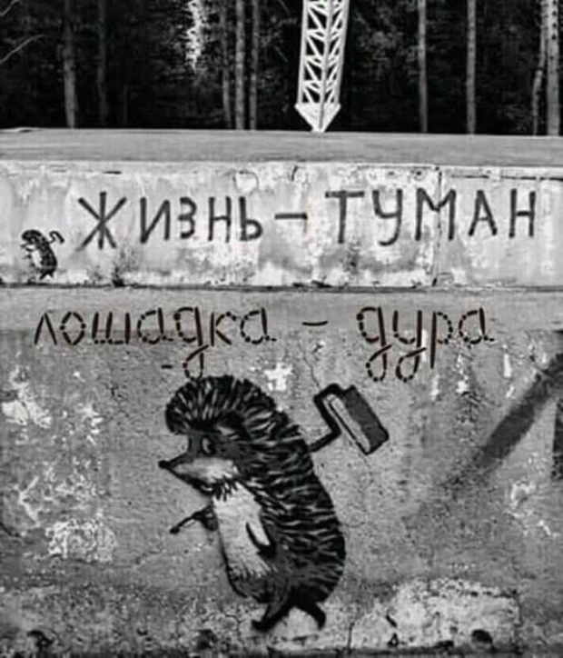 Подборка интересных и веселых картинок 18.11.18