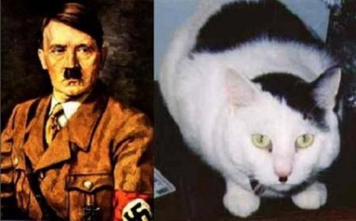 Клинт Иствуд и Сэмюэль Л. Джексон