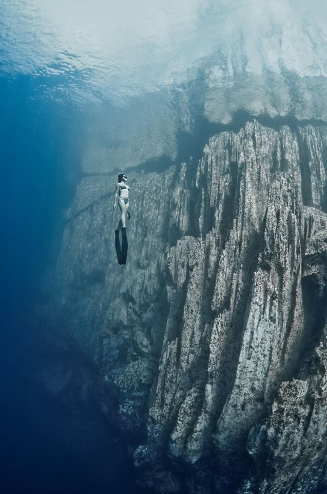 Фотографии моря и его обитателей, после которых даже на ванну начинаешь поглядывать с опаской