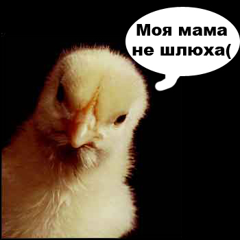 Похождения одной курицы...