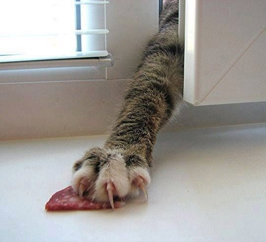 Подборка интересных и веселых картинок 09.02.19