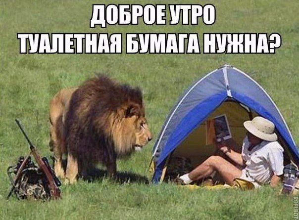 Нестандартный юмор