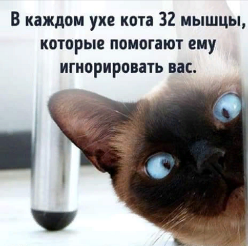 Просто юмор №30