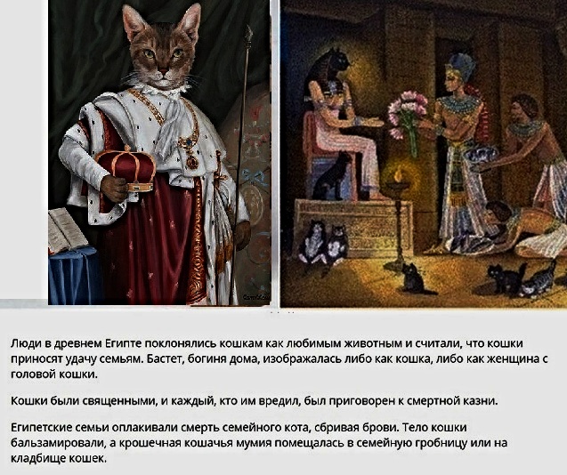 В египте поклонялись кошкам. Кошки в древности. Поклонение кошкам в древнем Египте. Египтяне поклонялись кошкам. Почитание кошек в древнем Египте.