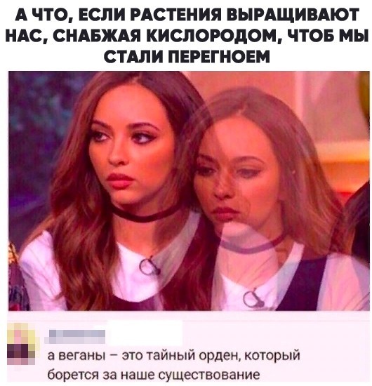 Смешные комментарии из социальных сетей 20.09.2019