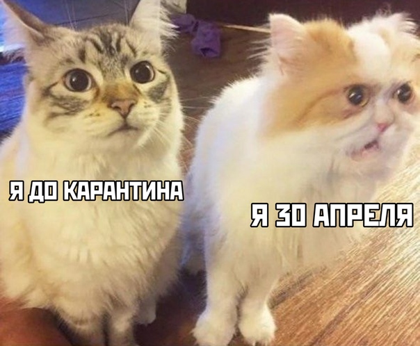 Немного картинок для настроения 03.04.20