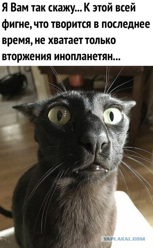 Собянин против раздачи всем гражданам денег из бюджета из-за коронавируса