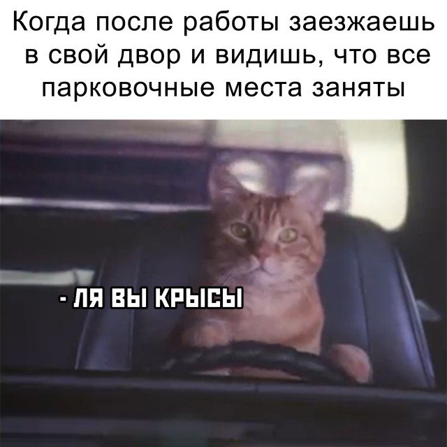 Новые и старые реалии в России. В картинках