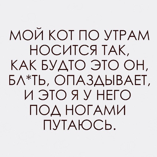 Картинки с надписями и всякие жизненные фразы 23.1.21