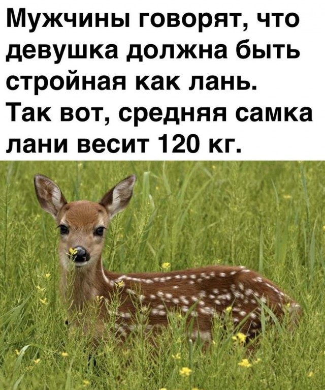 Разные картинки 24.01.21