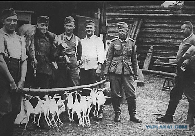 Фильм «Зоя». Дегероизация
