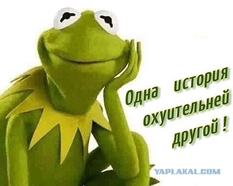 Две цитаты Дмитрия Пескова с разницей в 6 дней — о судах с участием Навального и без него