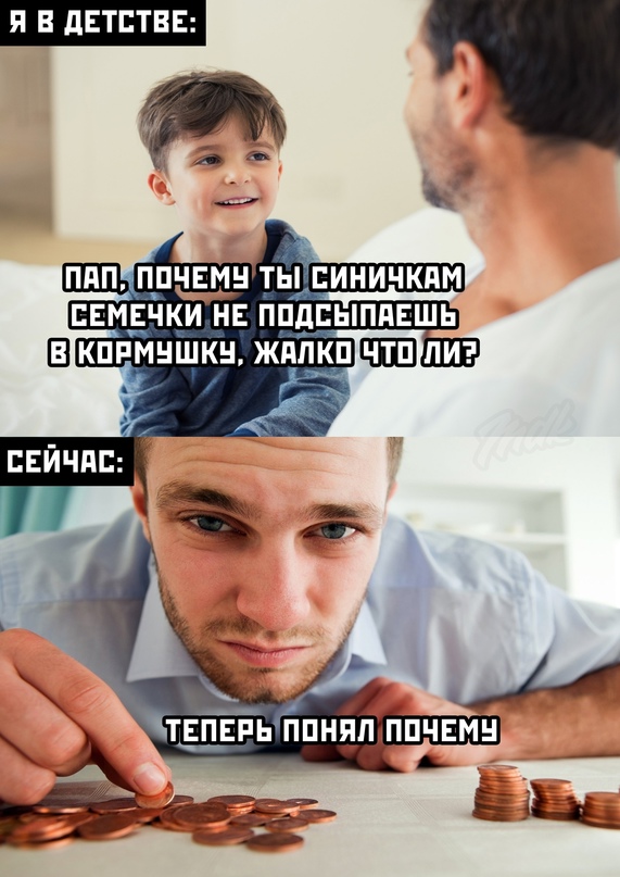 Весёлый полтишок 24.02