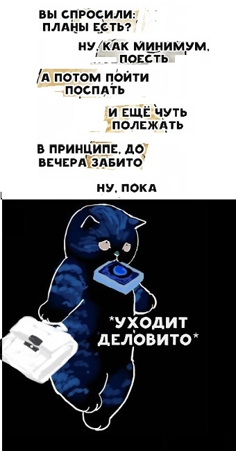 Картинки с надписями и котами
